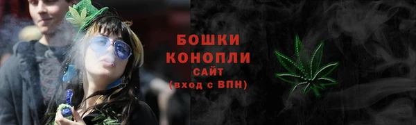 мет Арсеньев