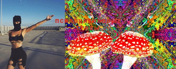 индика Сясьстрой